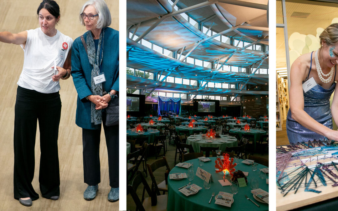 We’re hiring! Apply for our Gala Coordinator position